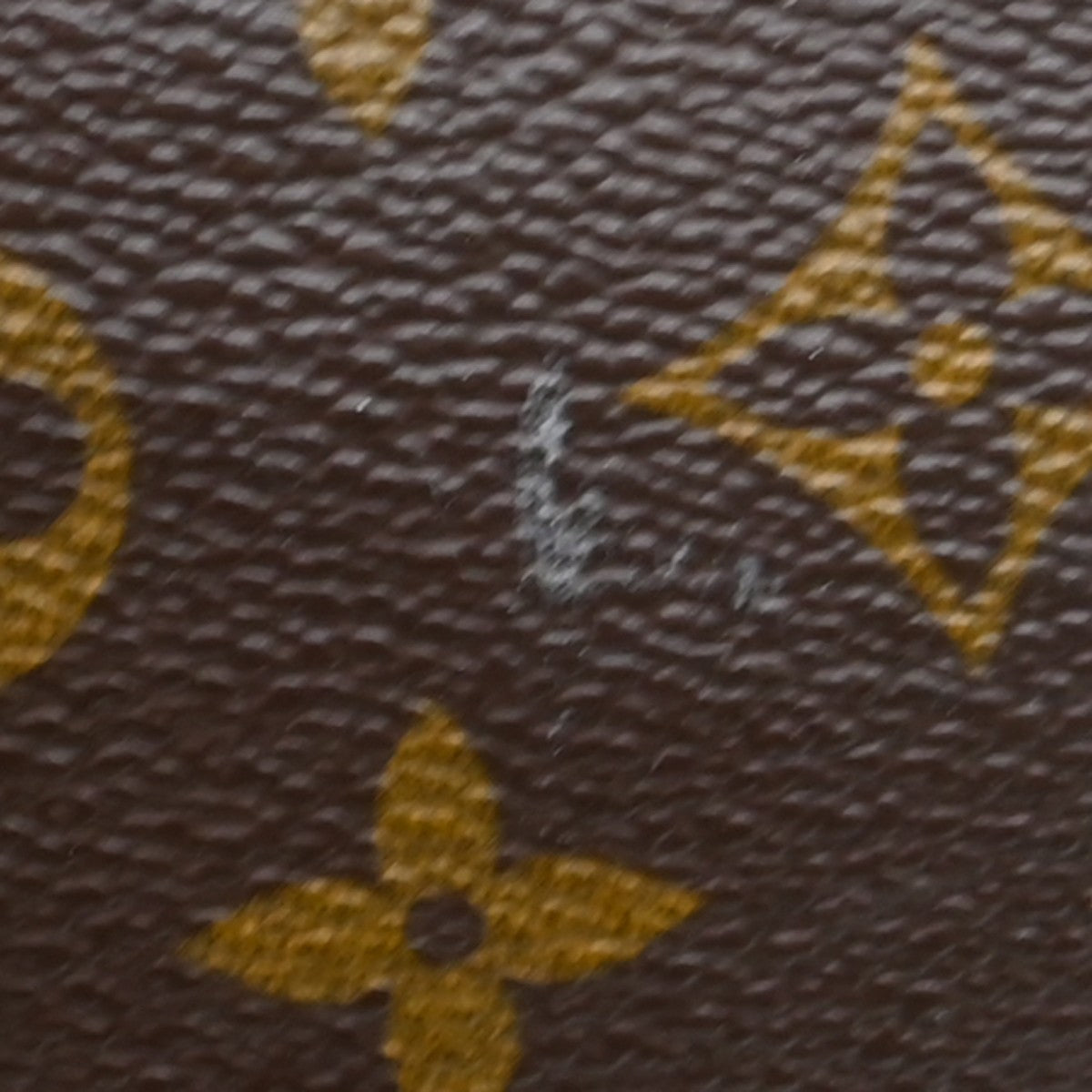Image 14