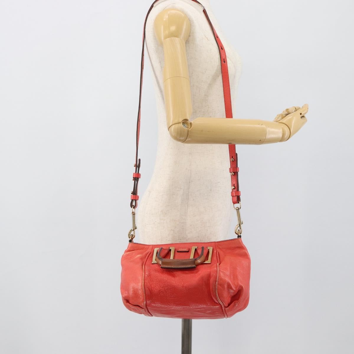 Image 15