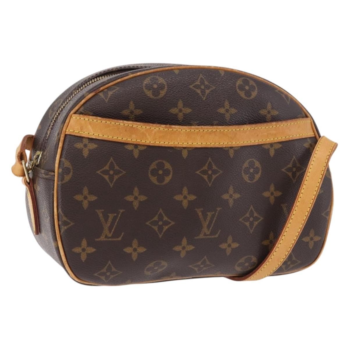Louis Vuitton Blois Monogram Canvas Product Image