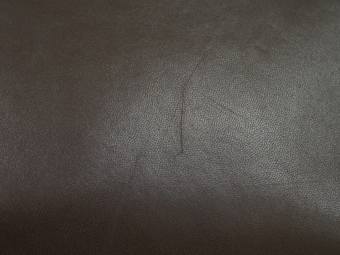 Image 14