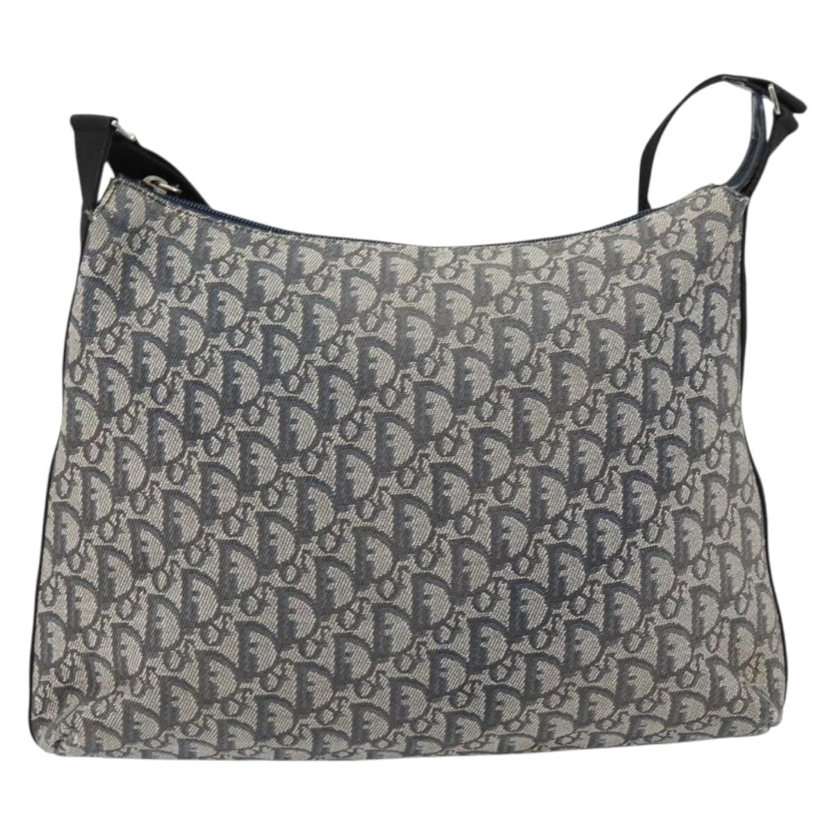 Christian Dior Vintage Trotter Canvas Product Image