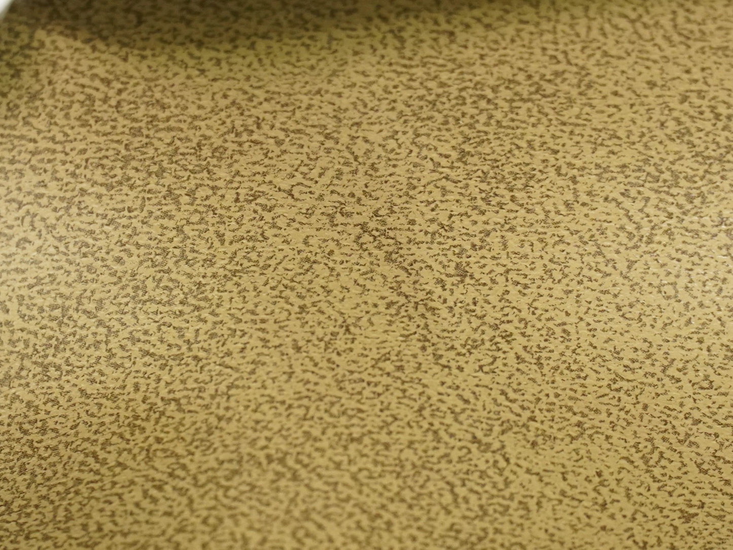 Image 18