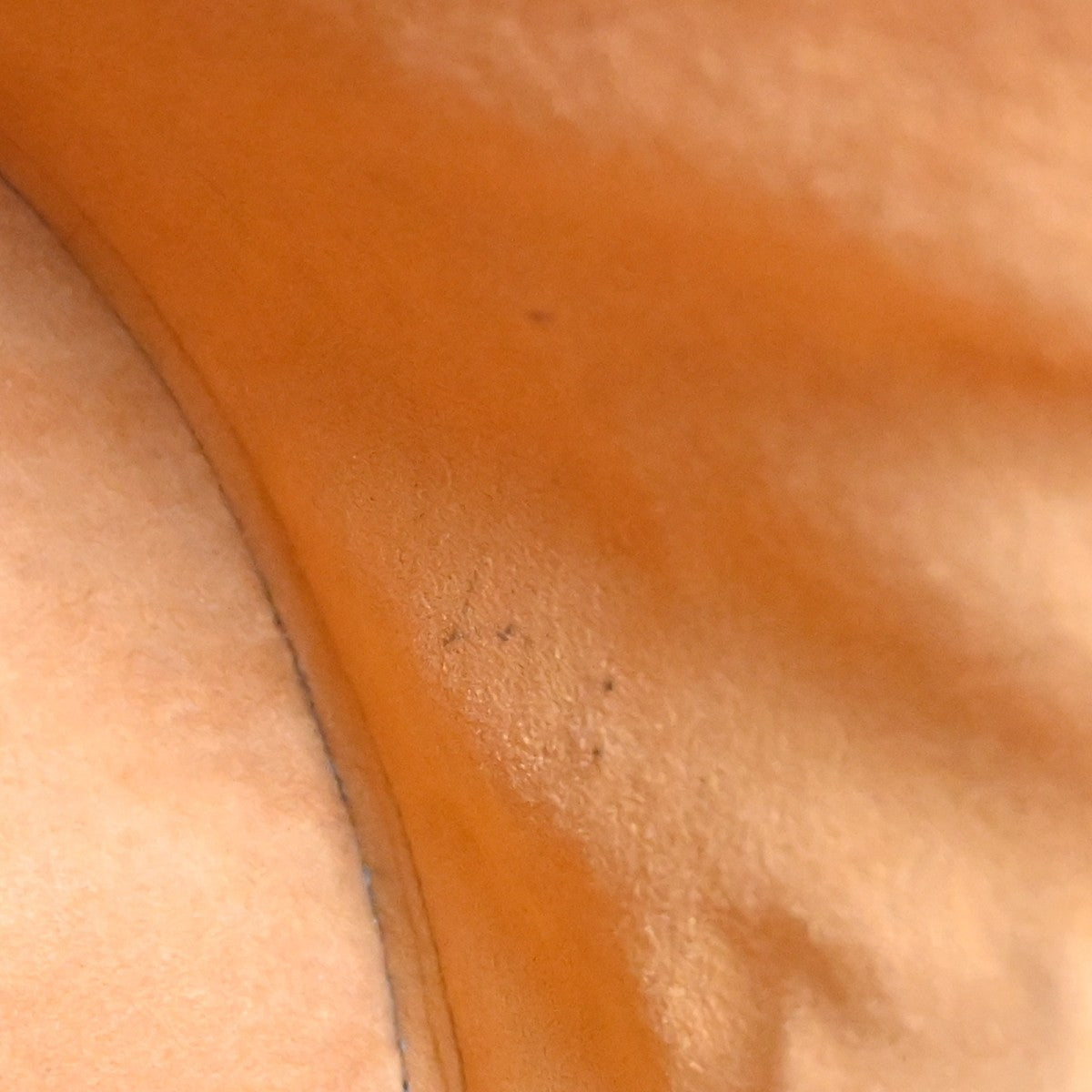 Image 14