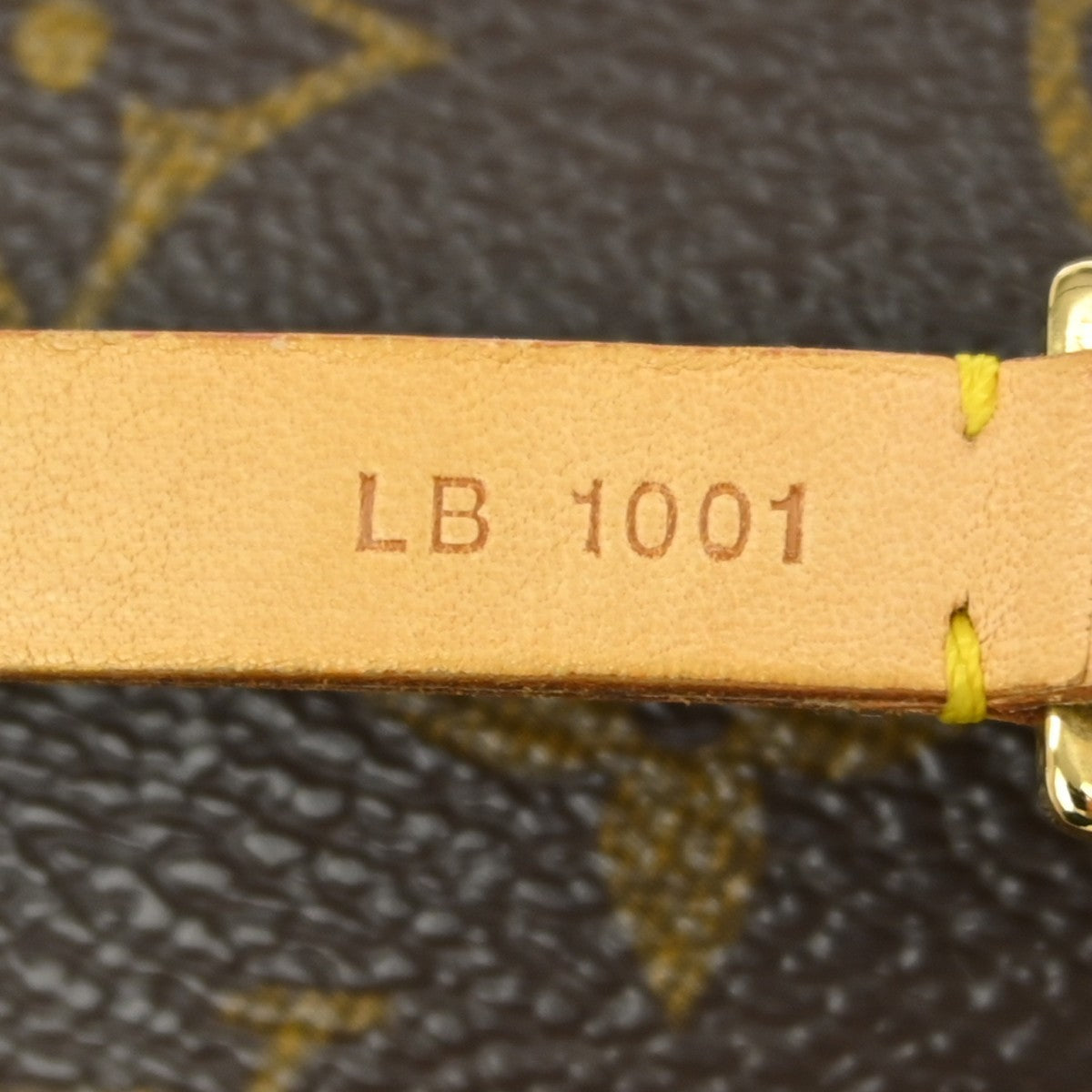 Image 11