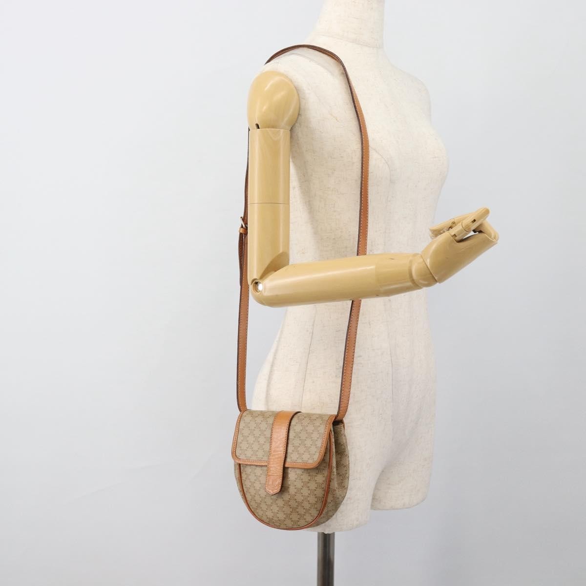 Image 13