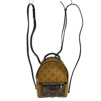 Louis Vuitton Palm Springs Monogram Mini