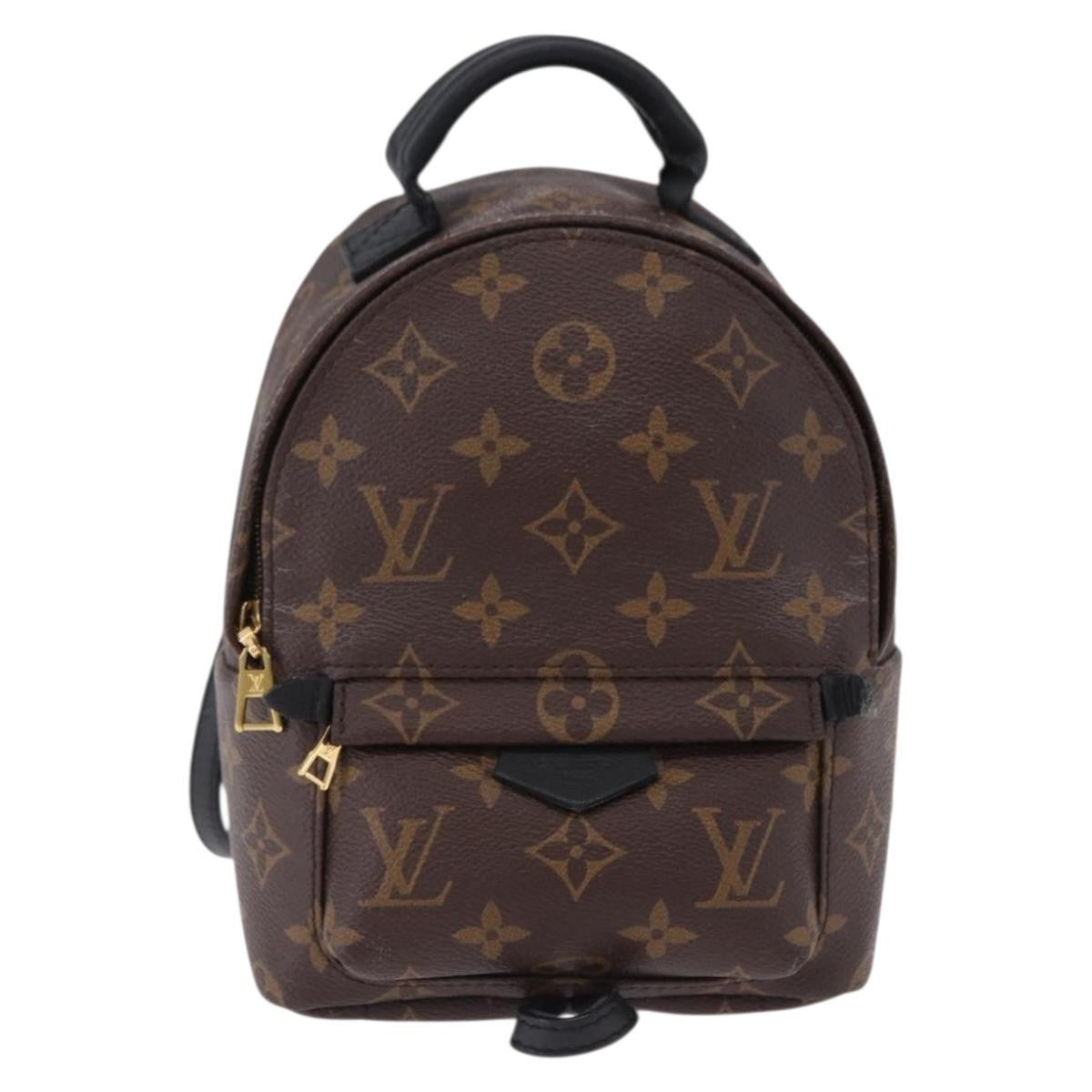 Louis Vuitton Palm Springs Monogram Mini