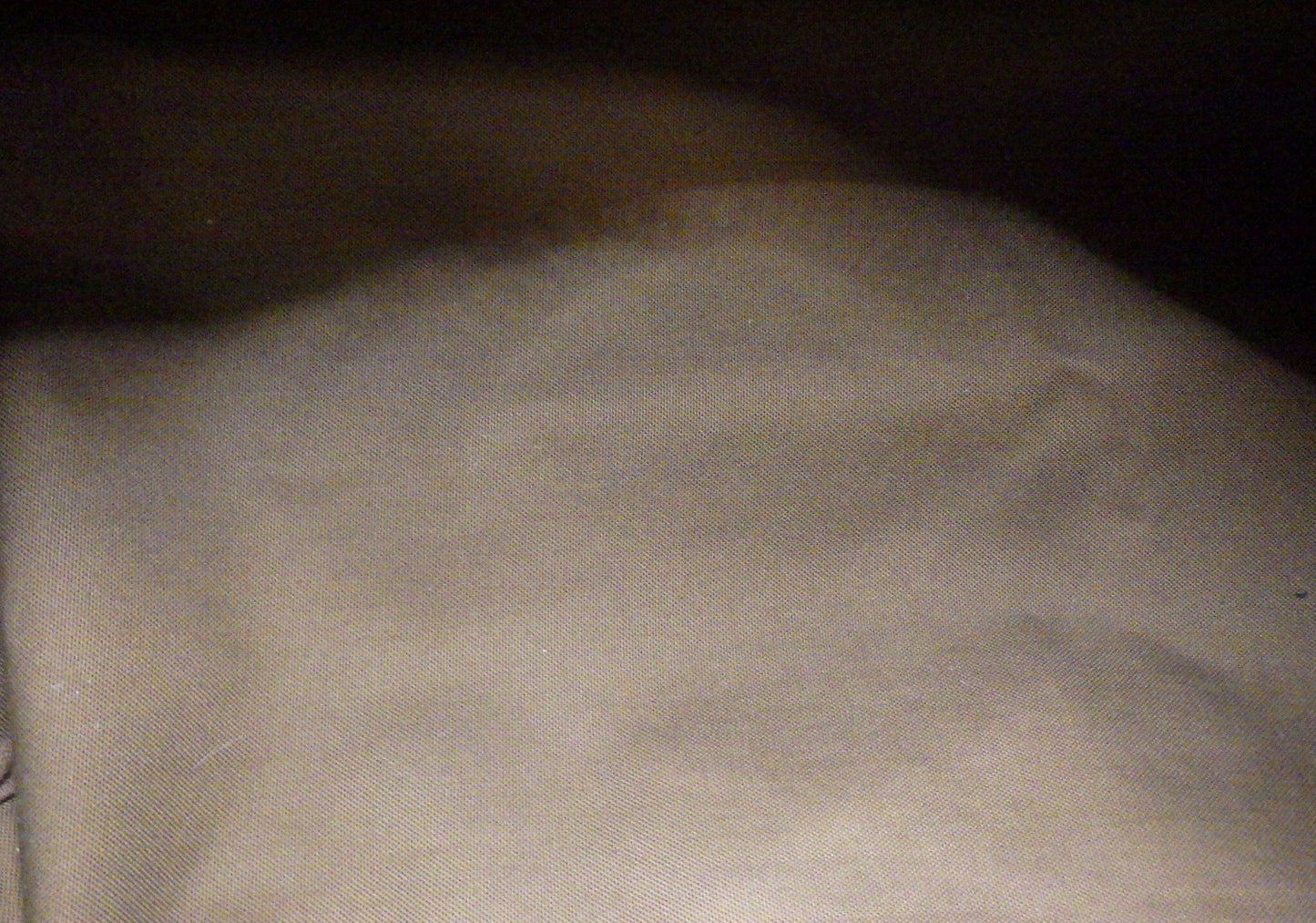 Image 13