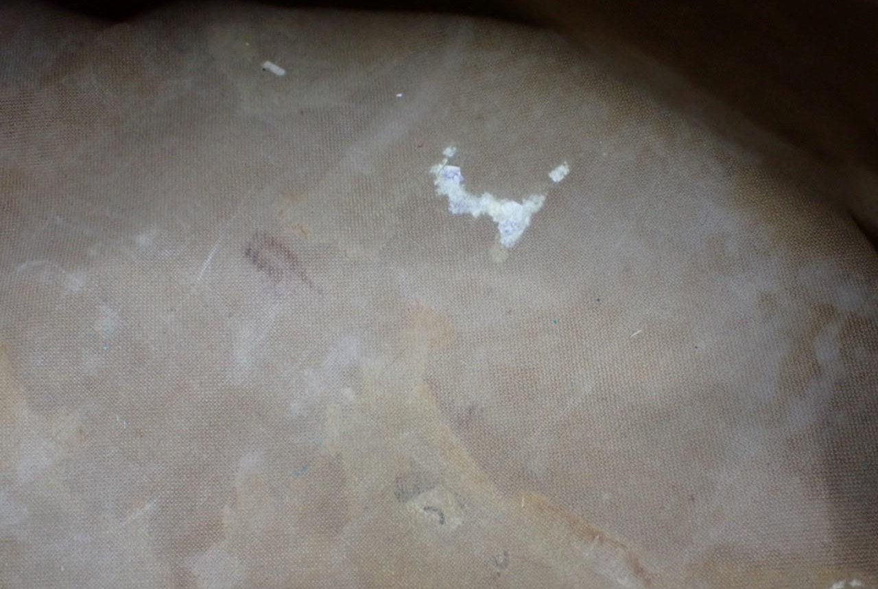 Image 24