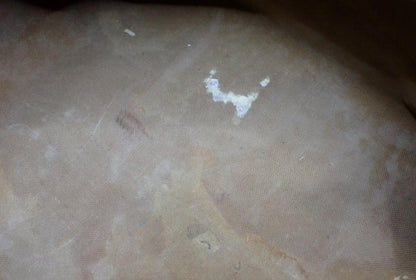 Image 24